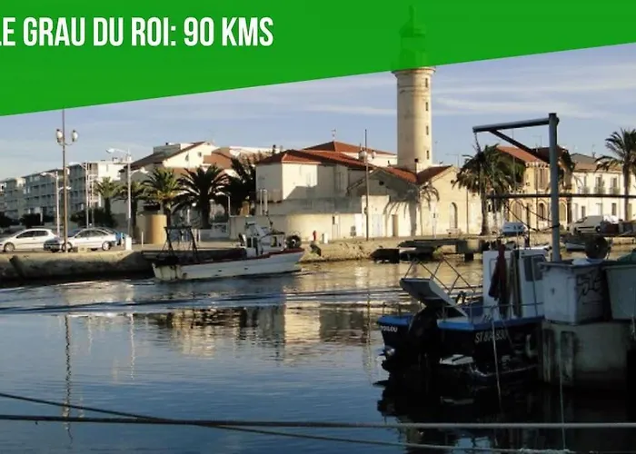 Le Figuier - Clim - Wifi Daire *